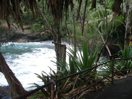 Rocky cove Hawaii